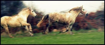 photo par Raedja