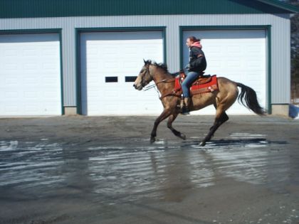 retour au galop