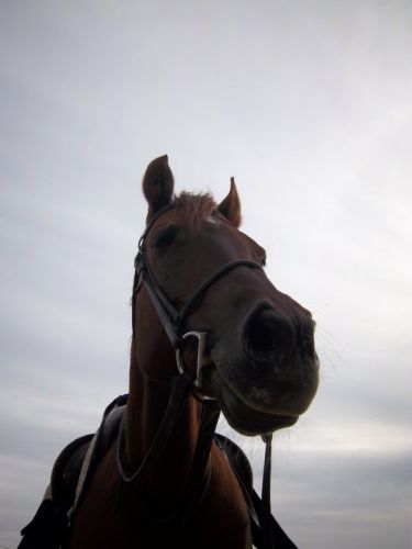 photo par annejuee. La tete dans les nuages (L) ruby !