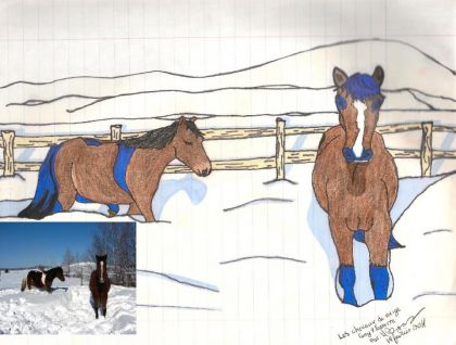 Les chevaux de neiges 2ièmes dessins de cheval 19 février 2011