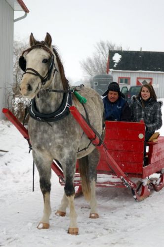 Capitaine et ca nouvelle sleigh !