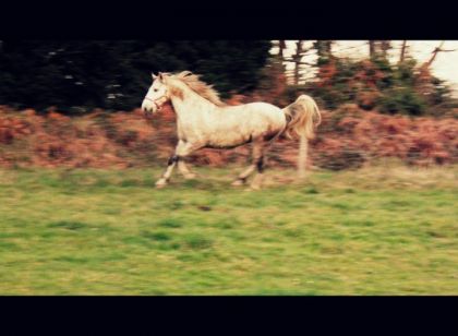 photo par Raedja