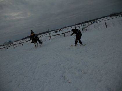 Skijoing