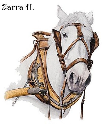Juste un cheval d'attelage déssiné aux grands arts !