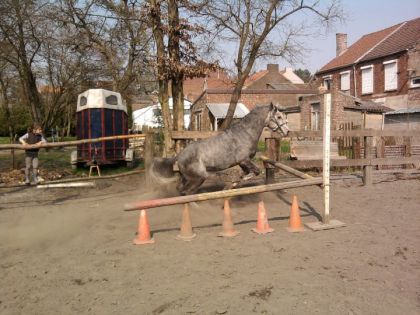 mon petit kheops qui saute en liberter !