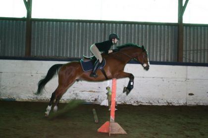 photo par Bailey's Ma demi-pensionnaire Simone sur mon cheval Bailey's, en cours le...