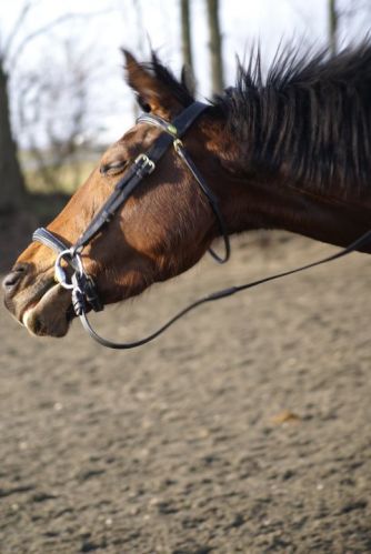 photo par Malie