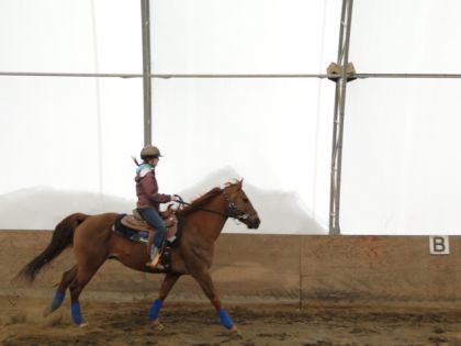 Moi sur mon cheval au galop :)