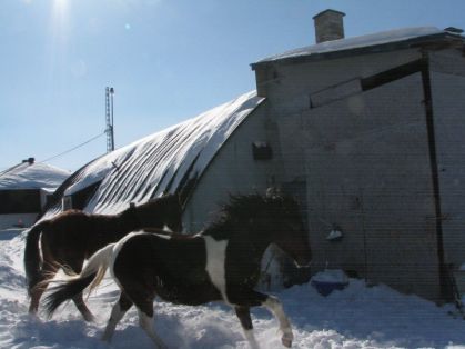 15 f&eacute;vrier 2011