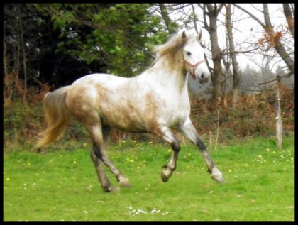 photo par Raedja