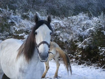Mon loulou dans la neige! 