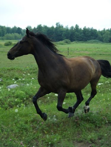 photo cette été!!!:)