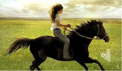 cest flicka...mais chaque fois que je montrais cette photo là a...