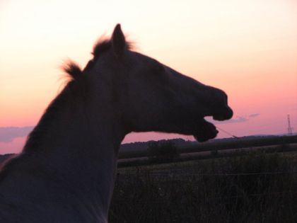Jessy coucher de soleil