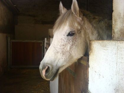 Belle Nanou ! 