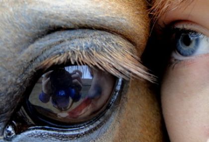 Mon oeil et celui de mon cheval :)