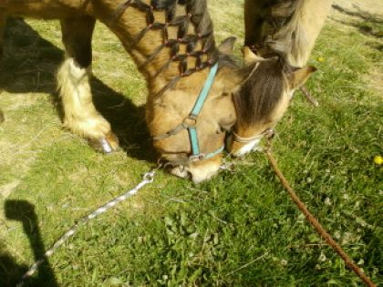 Mon Bb Et celui a ma ptite soeur