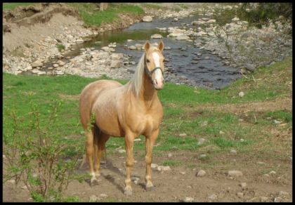 mon beau gros Jolly, déja 5 ans que tu es dans ta nouvelle...