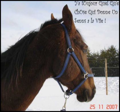 Mon Beuubé (L) Je t'aiime Slaade ! Yé pas Beau Un peux ! !! ?