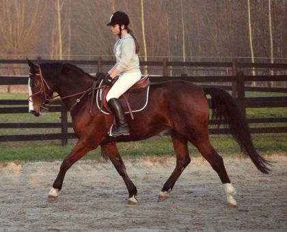 On bosse,on bosse :P ♥ Merci pour tout Queenette ♥