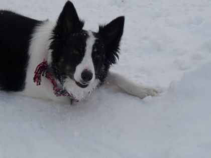 Ma belle Kyra!