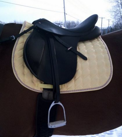 Selle Wintec 500