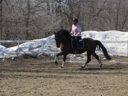 Mon amie Caro et sa jument Fidji au galop, avril 2011
