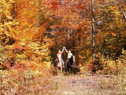 L'automne (L)