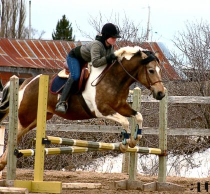 Kyle au saut :) le meilleur des poney :D