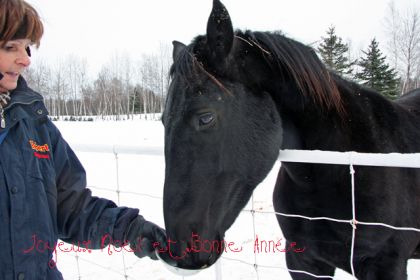 Je voulais vous montrer comment il noircit l'hiver !!!