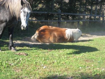 Coucou! C'est moi! Je ne manque jamais une photo!!