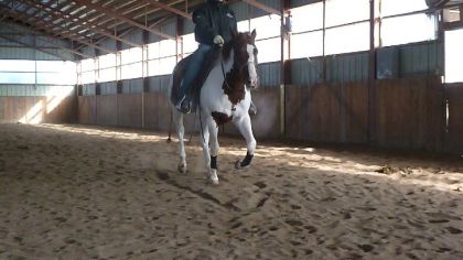 Smokey (L)