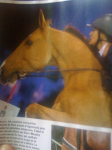 Luciana Diniz au Gucci Masters avec son cheval As Taro, qui...