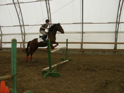 C'est ca que ça donne quand on saute 3'2 avec mon cheval.  Vous...
