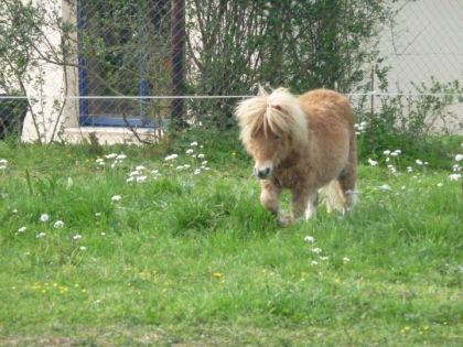 Ma petite Appy qui approche les 1 an ! <3
