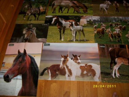 Posters qui N'ont PAS trouver leur place sur MOn mure (se n'est...