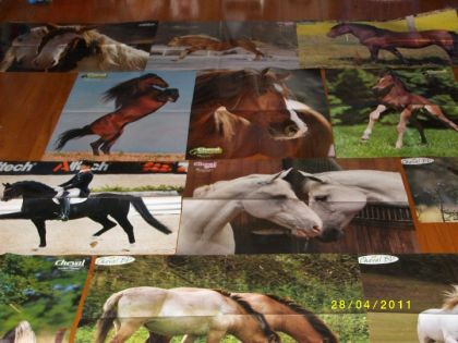 Posters qui N'ont PAS trouver leur place sur MOn mure (se n'est...