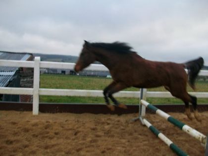 Ouhhhh lui je vais l'initier au saut :D