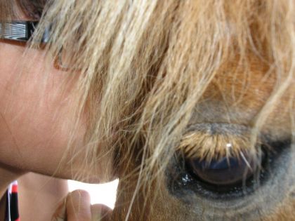 C'est moi et le plus petit poney de l'ecurie (rodéo il s'appelle...