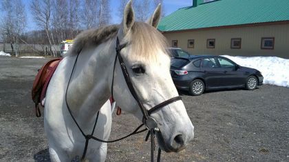 Mon p'tit Dolce Vita d'amours <3