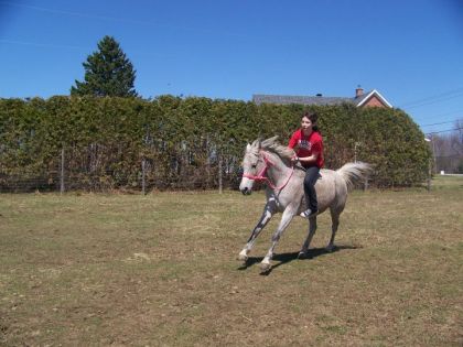 Salih qui s'emporte au galop avec moi qui a l'aire stupide sans...