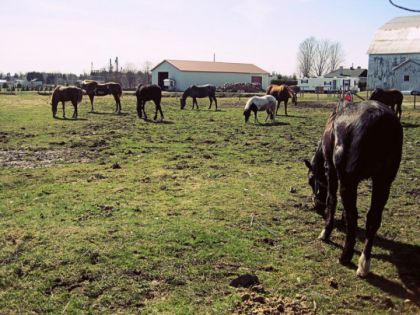 La petite gagne dehors en cette belle journée de printemps qui...