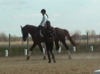 Clinique avec Andrea Brezee avril 2010!