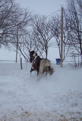 Seven profites de la neige
