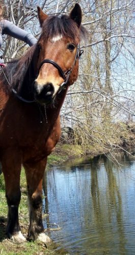 photo par aud15