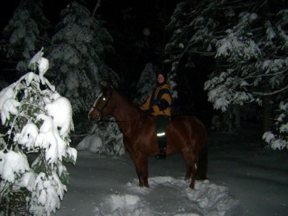 Moi et Jolly en rando baraback de soir...! les arbres étaient...
