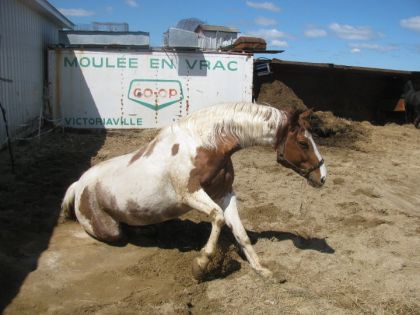 ouff pas facile se relever quand il reste 1 mois avant...