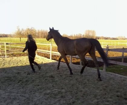 photo par MaJuEtoile