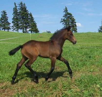 Bébé Rudy (Rainmaker)