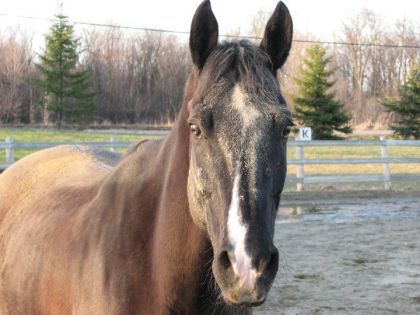 photo par MtlCowgirl
